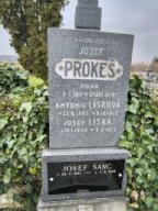 sany puvodni stav_pismo